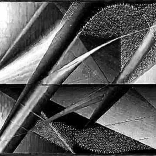 The Meta Model Leak: A Signal in the Noise or a Market Shift?